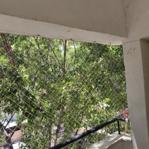 רשת הגנה על מרפסת עם עצים ברקע