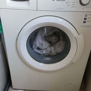 מכונת כביסה בוש עם דלת פתוחה ומחזור כביסה פעיל