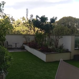 גינה עם דשא, עציצים וצמחים ירוקים