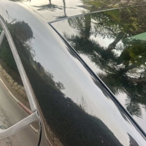 גג רכב עם השתקפות עצים