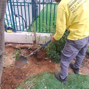 אדם חופר באדמה עם את חפירה ליד גדר מתכת