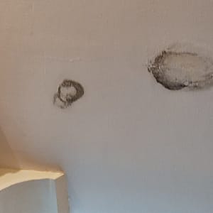 כתמי רטיבות על תקרה לבנה