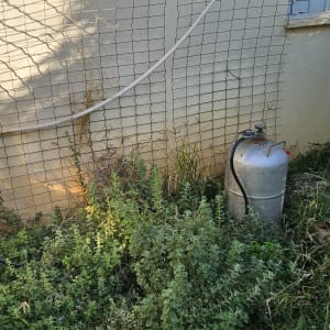 בלון גז ליד קיר עם צמחייה מסביב