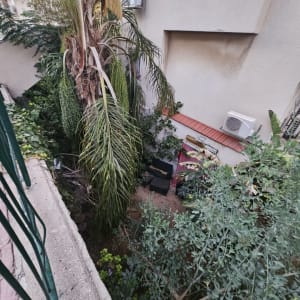 עצים וצמחים בגינה ליד בניין מגורים