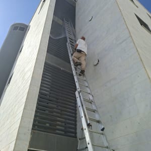 התקנת רשת נגד יונים במסתור כביסה על גבי סולם