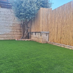 עץ זית ודשא סינתטי בגינה מגודרת במבוק