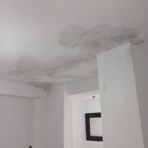 תיקוני צבע בתקרה עם סימני שפכטל