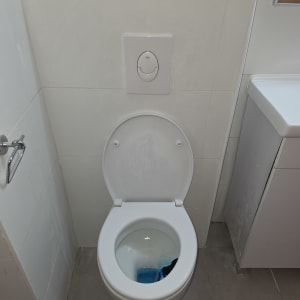 אסלה עם חומר ניקוי כחול