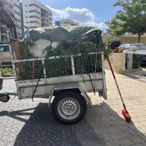 עגלה עם צמחים וכלי גינון ברחוב
