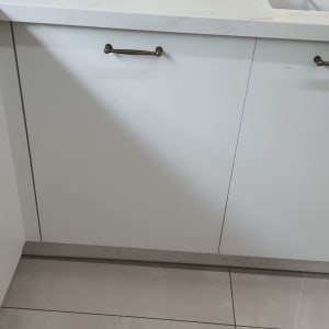 מטבח עם פירות, כלים וסבון כלים על השיש