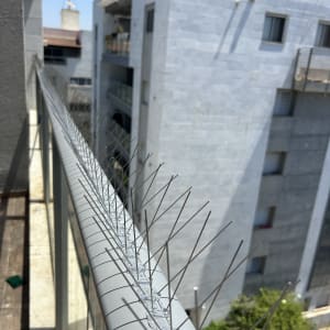 דוקרנים על מעקה למניעת יונים בבניין מגורים