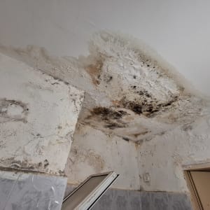 תקרה עם עובש ונזקי רטיבות בגבס
