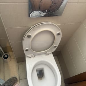אסלה עם לחצן הדחה בחדר שירותים