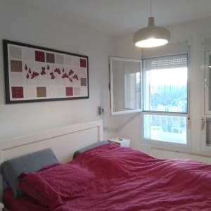 תמונה עם פרחים אדומים במסגרת שחורה על הקיר