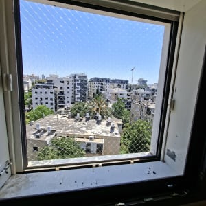 חלון עם רשת נגד יונים ונוף עירוני