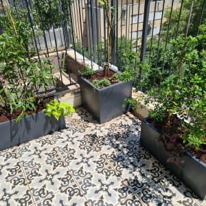 עציצים עם צמחים ירוקים על מרפסת מרוצפת