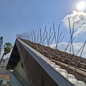 דוקרנים נגד יונים על גג רעפים בשמש