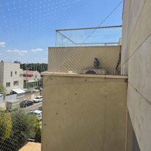 התקנת רשת ודוקרנים נגד יונים במסתור כביסה
