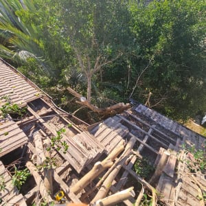 תמונה של גג עם ענפים ועבודות תיקון