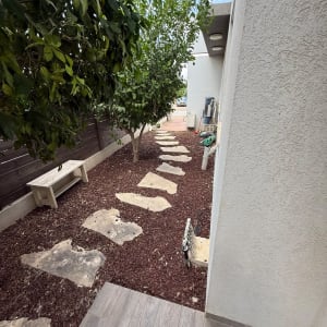 שביל אבנים בגינה עם עצים וספסל