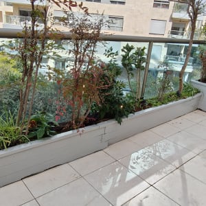 צמחים ועציצים במרפסת עם מעקה זכוכית