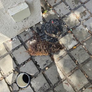 פתח ביוב על מדרכה עם לכלוך ופסולת סביבו