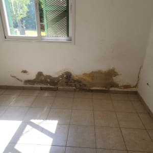 קיר עם נזקי רטיבות ותיקונים נדרשים