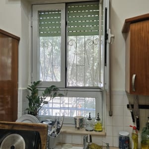 תריסים ירוקים בחלון מטבח עם כיור וכלים