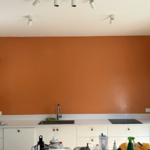 קיר צבוע בכתום במטבח עם כיור וברז