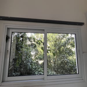 חלון נקי עם נוף של עצים ירוקים בחוץ