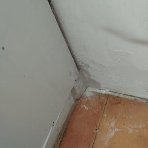 פינה עם קיר מתקלף ורצפה מלוכלכת