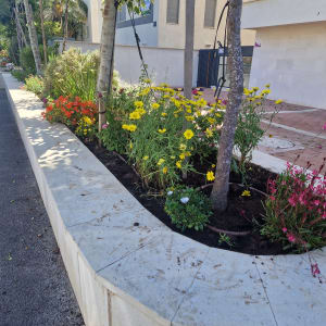 ערוגת פרחים צבעונית ליד בניין מגורים