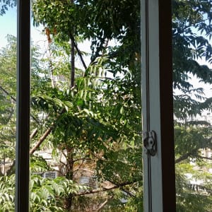 חלון זכוכית עם נוף עצים ירוקים בחוץ