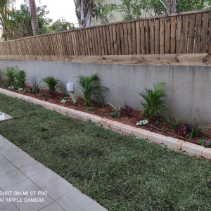 צמחים ופרחים בגינה עם צינור השקיה