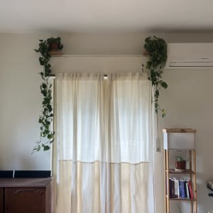 חדר עם וילון, צמחים וספרים על מדף