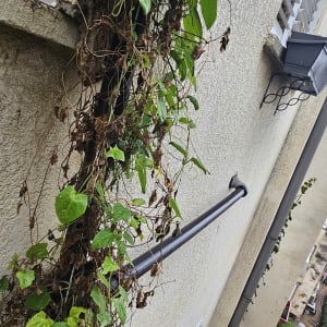 צינור מים עם צמחייה מטפסת על קיר חיצוני