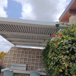 דוקרנים על גג למניעת יונים
