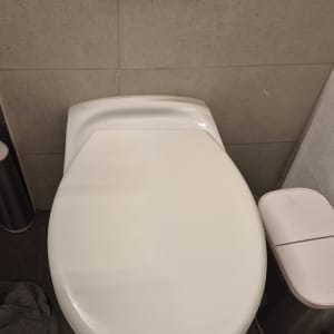 אסלה עם לחצן הדחה על קיר