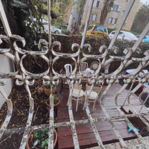 עציצים עם צמחים על רצפת עץ בגינה