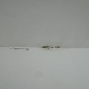 תקרה עם קילופי צבע ונזקי רטיבות