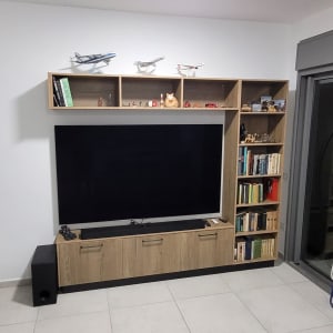 מערכת מדפים עם טלוויזיה וספרים בסלון
