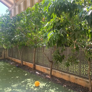 גדר מתכת מעוצבת בחיתוך בלייזר בחצר בית עם עצים ודשא
