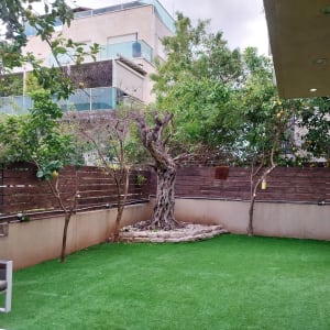 חצר עם דשא מלאכותי ועצים מסביב