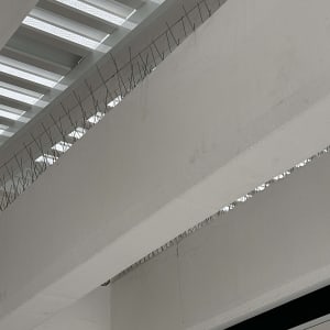 דוקרנים למניעת יונים על קורות תקרה