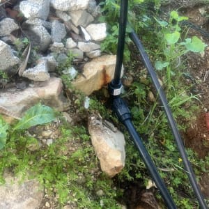 צינור מים וכלי עבודה בגינה