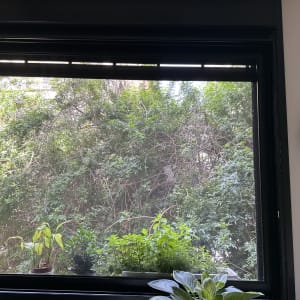 מסגרת חלון אלומיניום עם צמחים על אדן החלון