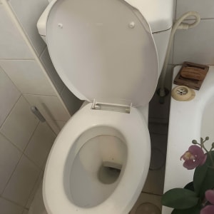 אסלה פתוחה בחדר אמבטיה עם צמח ליד