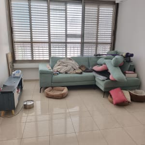 סלון עם ספה ירוקה, כריות ומיטות לחיות מחמד