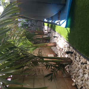 עצים קטנים ליד דשא מלאכותי ואבנים לבנות