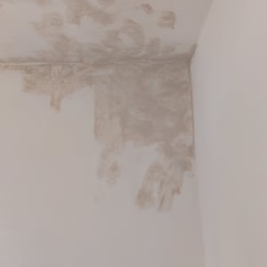 קיר עם תיקוני טיח ולכלוך, סולם צבוע